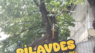 İzmit'te lokantaya ağaç düştü