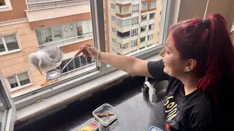 Trabzonlu öğretmenin mutfağındaki davetsiz ama sevimli misafir
