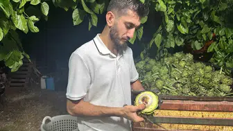 Bursa’da enginarın sırrı hızlı ellerde