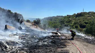 İzmit'te orman yangını sonrası ortaya çıkan çöp manzarası tepki çekti