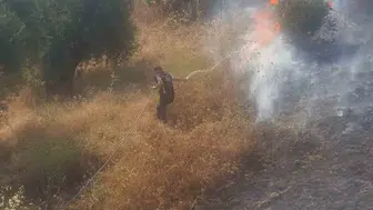 Nazilli Bozyurt’ta çıkan yangına belediye ekipleri müdahale ediyor