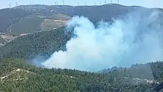 Soma ormanlarında alevler yükseliyor