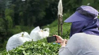 Rize’nin dik yamaçlarında milli maç mesaisi