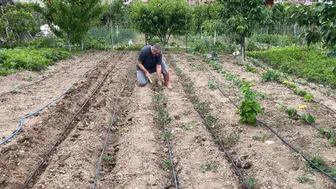 Yusufeli'nde boş vakitleri toprağa dönüştüren eğitimciler