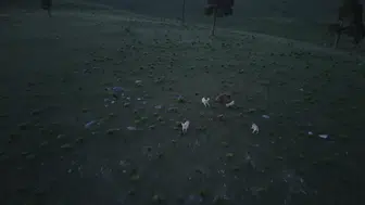Sarıkamış arazisinde boz ayı ile köpeklerin kıran kırana takibi