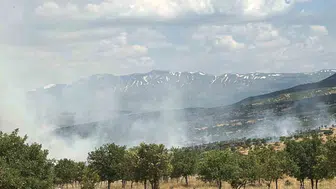 Bingöl Gökçeli köyündeki orman yangını paniğe yol açtı