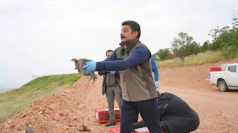 Kırşehir’in doğasına 900 yeni kanatlı destek