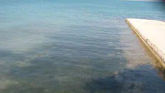 Didim plajlarında deniz suyu kalitesi tescillendi