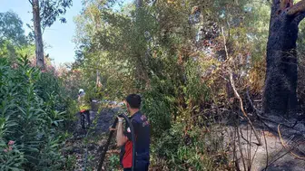 Hatay Hassa'daki bahçe yangını büyümeden söndürüldü