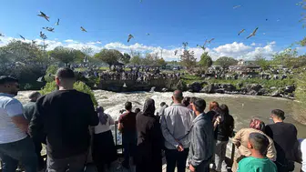 Van Gölü’nde balıkların akıntıya karşı verdiği yaşam mücadelesi