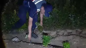 Mersin'in ormanlık alanında gizli kenevir tarlaları ortaya çıkarıldı