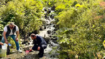 Uzungöl’ün dereleri 15 bin yeni misafirine kavuştu