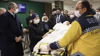 Mahkemeden pitbull kararı Köpekler artık yasal olarak silah sayılıyor