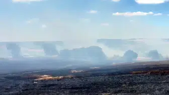 Tekirdağ'da buğday tarlaları kül oldu