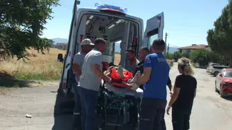 Burhaniye'de otomobil ağaca çarptı Bir sürücü hastanelik oldu