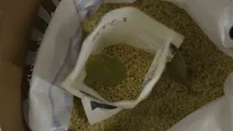 Diyarbakır’ın volkanik pirinci sağlığa uygunluk testlerinden başarıyla geçti