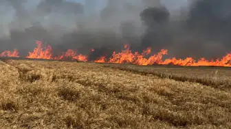 Tekirdağ'da tarlalar kül oldu
