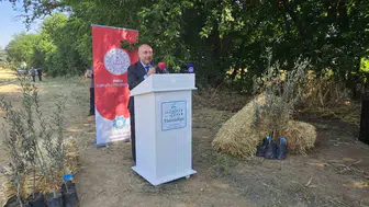 Bursa'da öğrenciler zeytin ağaçları yetiştirecek