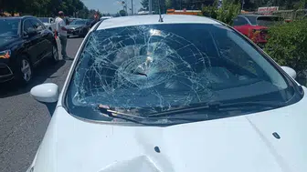 Dicle Üniversitesi kampüsünde otomobilin çarptığı yaya ağır yaralandı