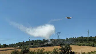Çanakkale’de buğday tarlasını kuşlar yaktı