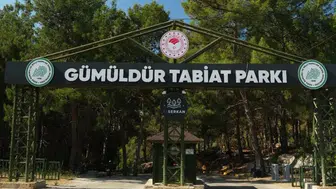 İzmirli karavancılara müjde Gümüldür Tabiat Parkı tekrar açıldı