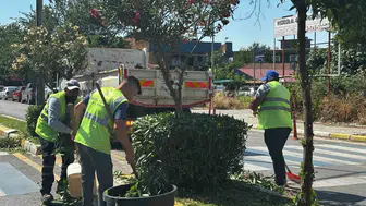 Efeler’in bulvarları yeni görünüme kavuştu