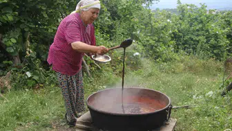 Ordu’da geleneksel dut pekmezi mesaisi başladı