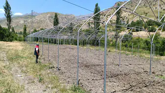 Şırnak topraklarında seralarla yeni bir dönem başlıyor