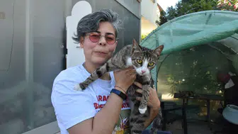 İzmir'de erkek sanılan kedi doğum yapınca herkes şoke oldu