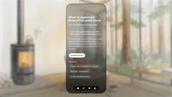Google dijital ayak izlerinizi kişisel bir hikaye kitabına dönüştürüyor