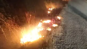 Ayvalık'ta sigara izmariti az kalsın faciaya yol açıyordu