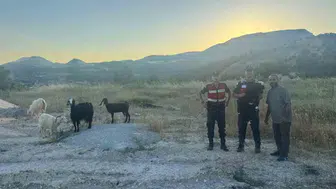 Vezirhan’da kaybolan sürüsüne jandarma ekipleri ulaştı