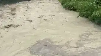 Mudurnu’da sağanak tarımı vurdu dereler taştı