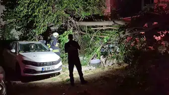 Eskişehir'de devrilen ağaç iki aracı hurdaya çevirdi