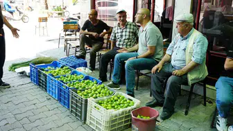 Aydın incir pazarında fiyatlar saatlik değişiyor