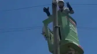 Amasya'da direğe çıkan kedi için enerji kesildi