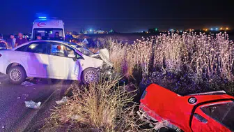Mardin'de gece yarısı trafik faciası
