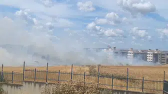 Silivri’de kuru otlar alevlere teslim oldu
