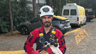 Aydın’da üç gün süren kedi kurtarma operasyonu mutlu bitti