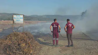 Burhaniye’de Karınca Deresi kenarında çıkan yangın korku yarattı