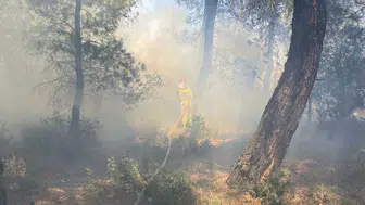 Çanakkale Kızılkeçili köyünde tarım arazisi alevlere teslim oldu