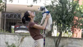 Mersin'de binlerce sokak hayvanı sıcak yuvaya kavuştu