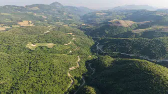 Kozan yangınından geriye kalan küller nasıl yeşile döndü?