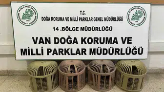 Çatak’ta kınalı keklikleri aracına dolduran sürücüye büyük ceza