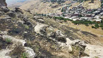 Mardin Yeşilli’deki yangın büyümeden söndürüldü