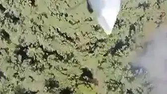 Manisa Soma’daki orman yangını söndürüldü