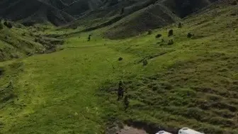 Tunceli’de mantar toplayan üç kişi ayı saldırısıyla yaralandı