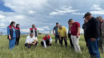 Kars’ta dolu yağışı tarlaları vurdu