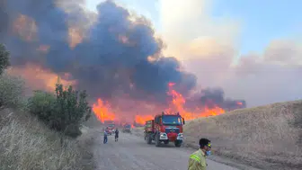 Edirne ormanlarına girmek 20 Haziran itibarıyla yasaklandı