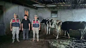 Kilisli gencin kayıp hayvanlarını jandarma arazide buldu